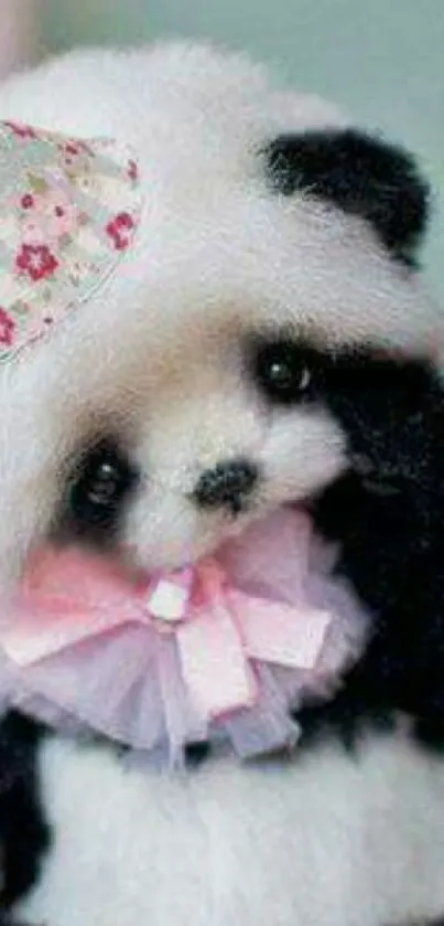 Charming panda with a floral party hat and neck ribbon.