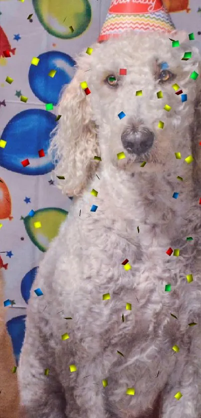 Adorable dogs in party hats against a colorful background.