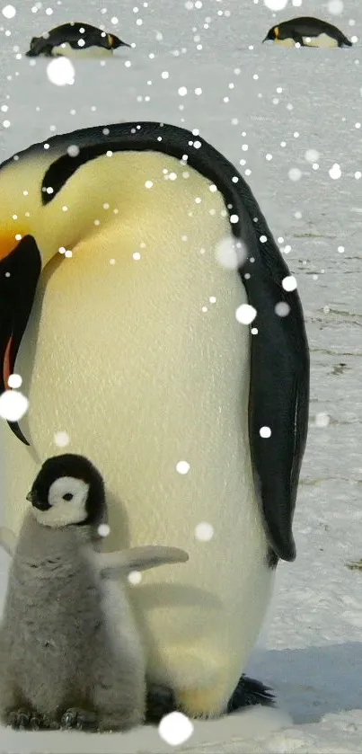 Penguin family in snow with falling snowflakes, capturing a winter wonderland scene.