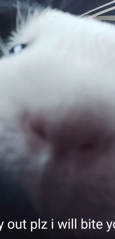 Close-up of a pet's nose with a humorous warning message.