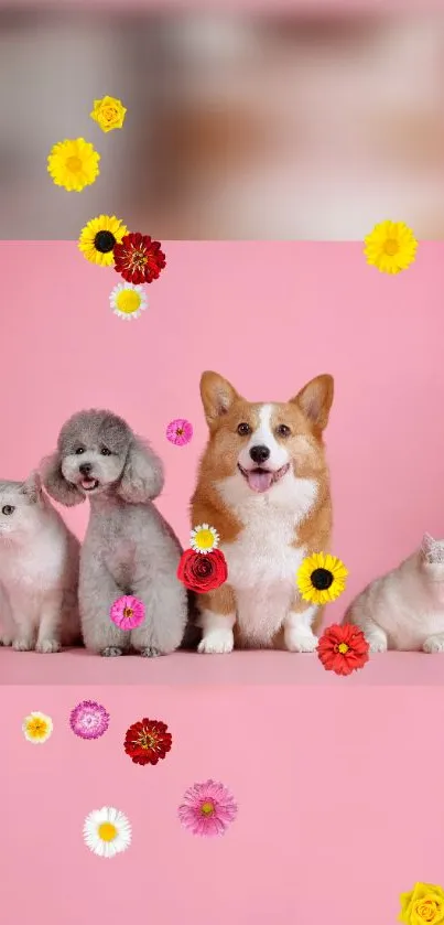 Adorable corgi and cats with flowers on a pink background wallpaper.