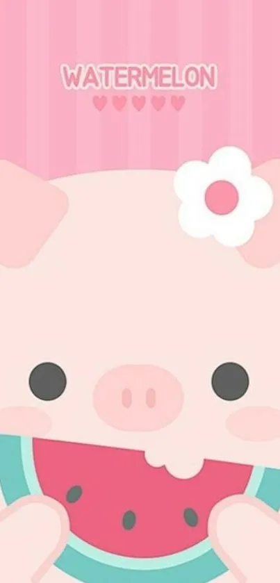 Cute pig with watermelon on pink background.