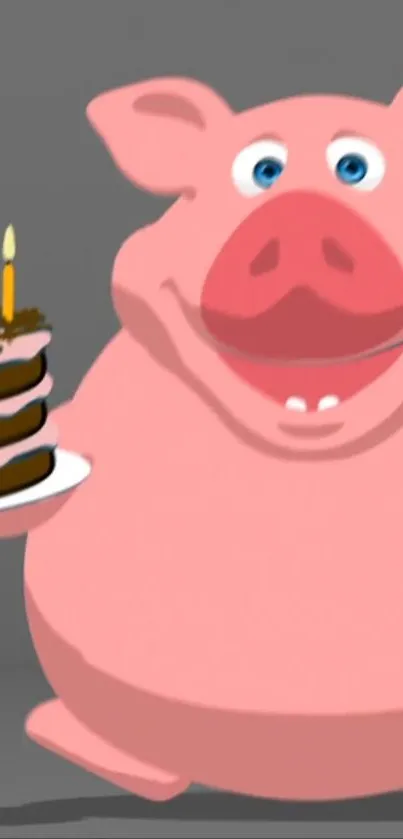 Cute pig holding a chocolate cake with candles on a gray background.