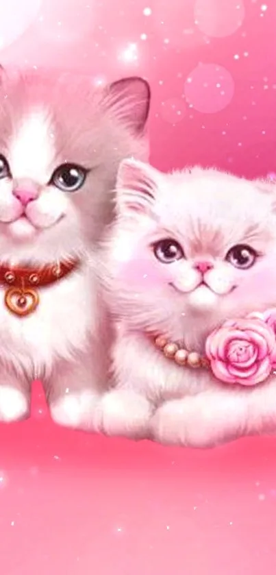 Two fluffy cats in a pink-themed wallpaper with floral decorations.