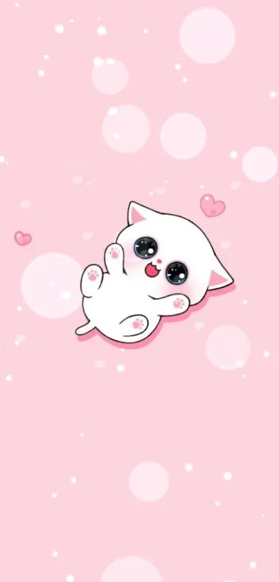 Cute white cat on soft pink background with hearts.