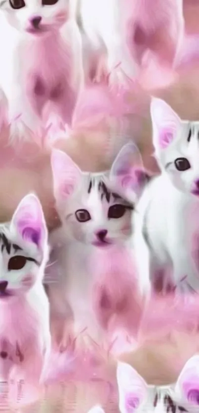 Adorable pink kitten wallpaper with cute fluffy cats.