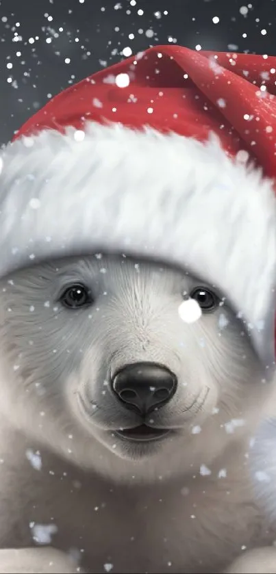 Cute polar bear cub wearing Santa hat wallpaper.