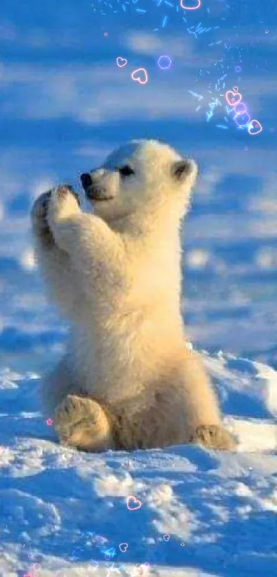 Polar bear cub sitting on snowy surface under blue sky.