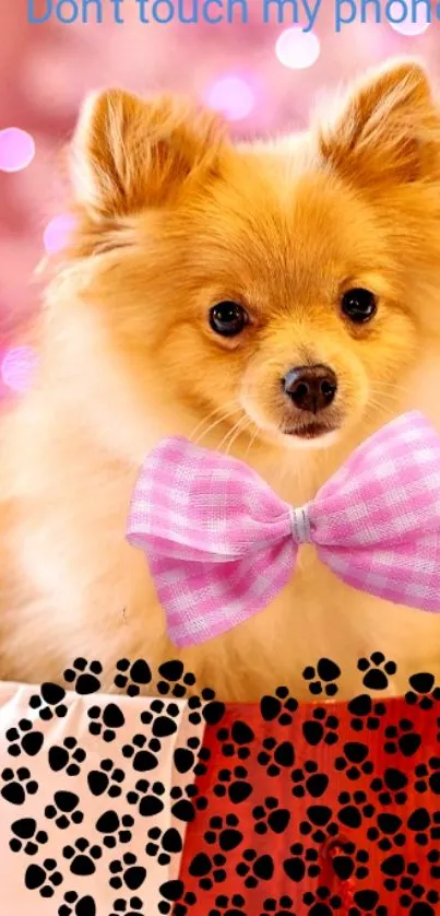 Cute Pomeranian with pink bow tie and heart design background.