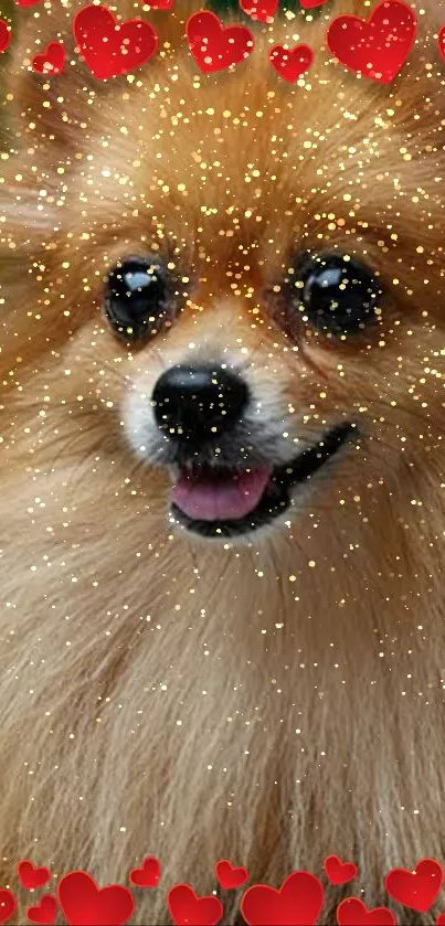 Cute Pomeranian dog with glitter and heart decorations.