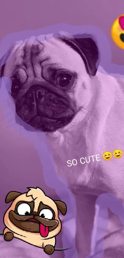 Cute pug illustration with emojis on purple background.