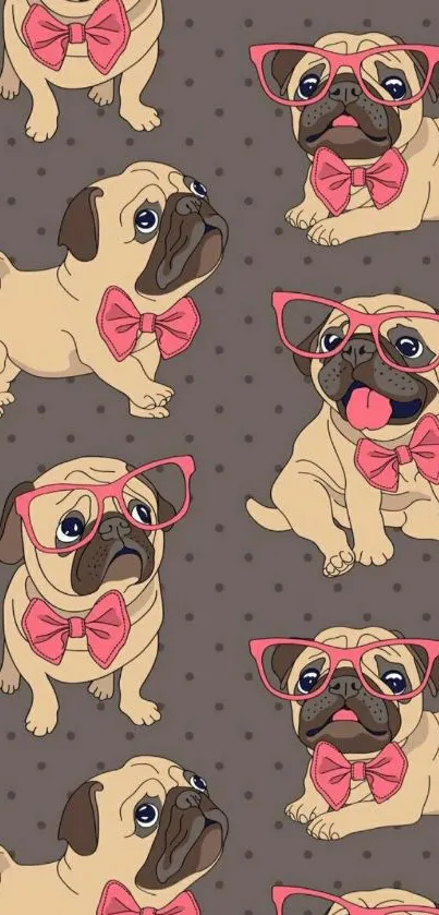 Cute pugs with glasses and pink bows on brown background.