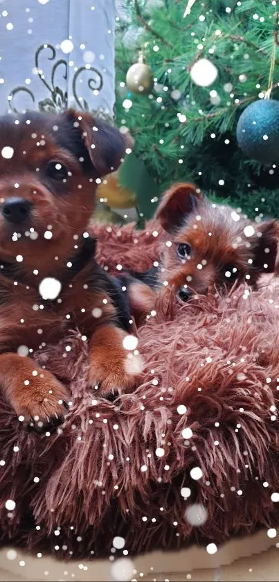 Two cute puppies lying on a fluffy bed with snowflakes falling around.