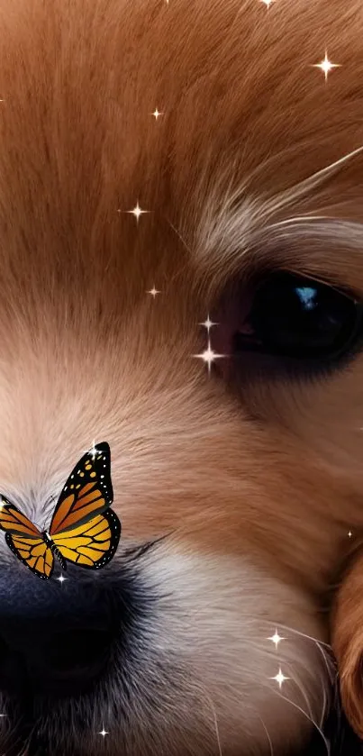 Adorable golden puppy with butterfly and stars wallpaper.