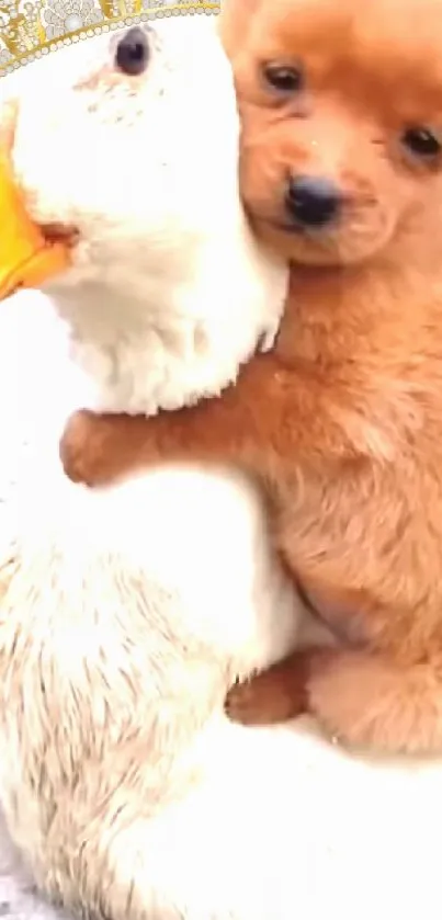 Fluffy puppy lovingly hugs a white duck in a charming mobile wallpaper.