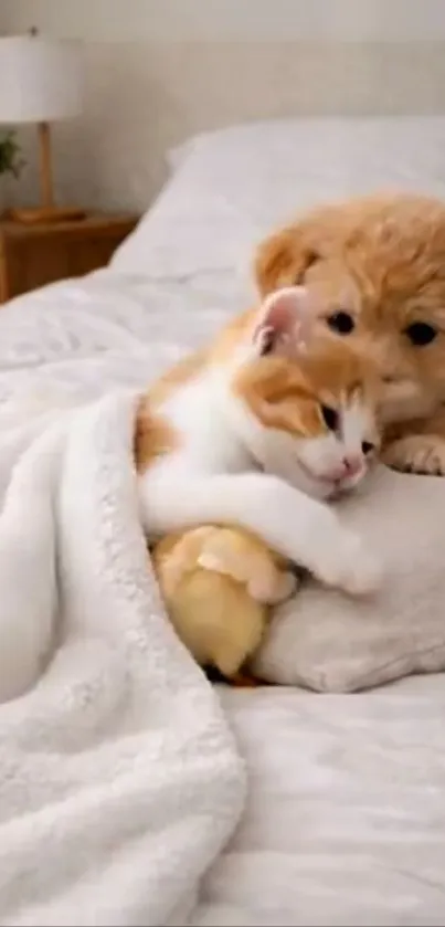 Puppy and kitten cuddled up on a bed with a soft blanket.