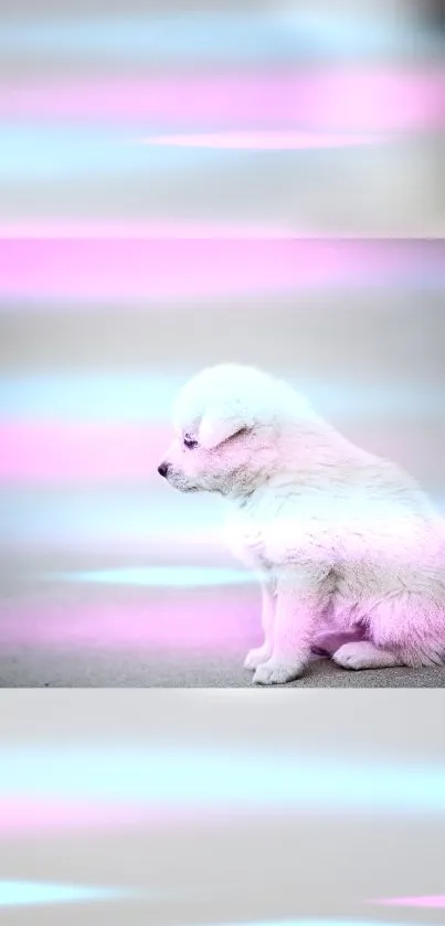 Adorable puppy with a neon pink glow on a soft backdrop.