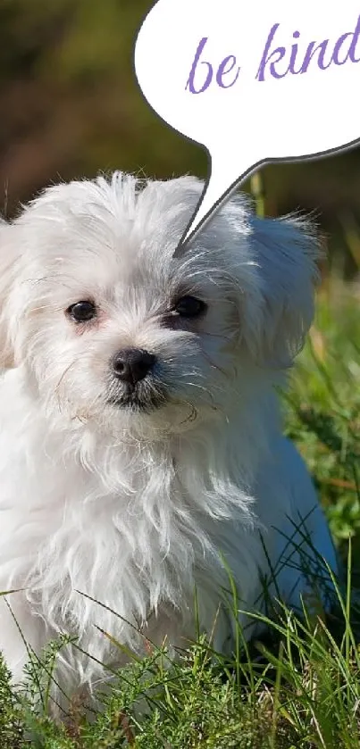 Adorable puppy in grass with 'be kind' speech bubble message.