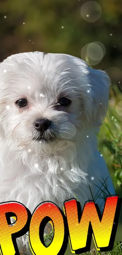 Adorable white puppy with comic text in grassy field.