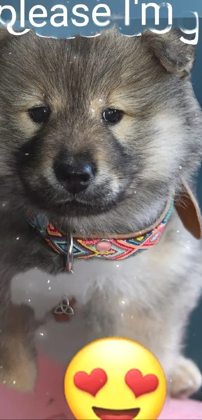 Adorable fluffy puppy with a heart eyes emoji on mobile wallpaper.