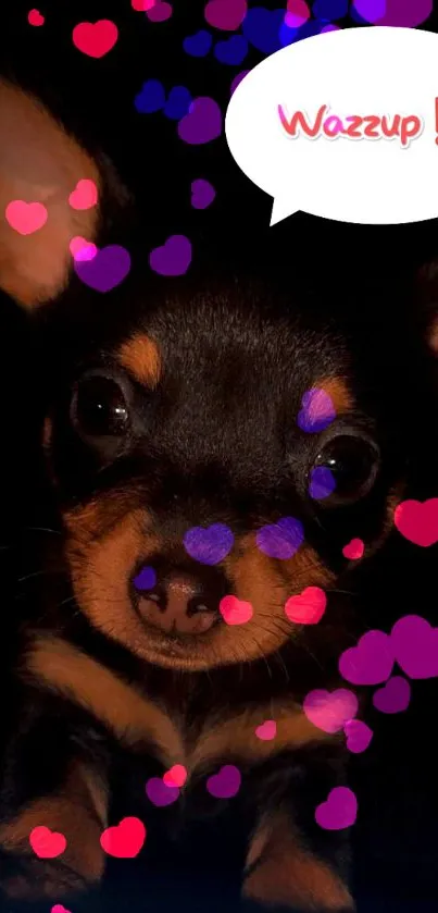 Cute puppy with colorful heart shapes on a dark background.