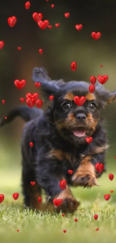 Adorable puppy joyfully running in a green field, perfect for a lively phone wallpaper.