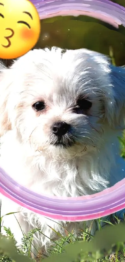 Adorable white puppy framed in a colorful circle outdoors.