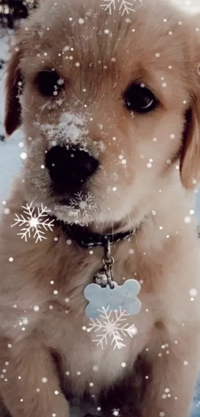 Golden retriever puppy sitting in snow.