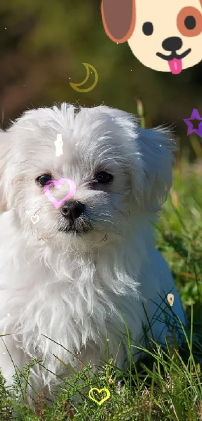 Fluffy white puppy sitting in green grass with dog emoji above.