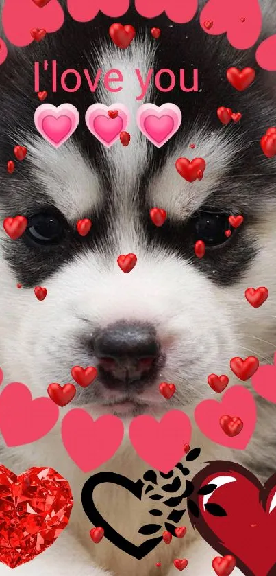 Puppy wallpaper with hearts saying "I love you."