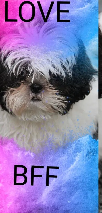 Colorful wallpaper with a Shih Tzu dog and love, BFF text overlay.