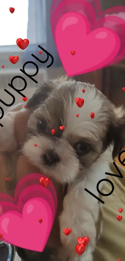 Cute fluffy puppy with pink hearts wallpaper.