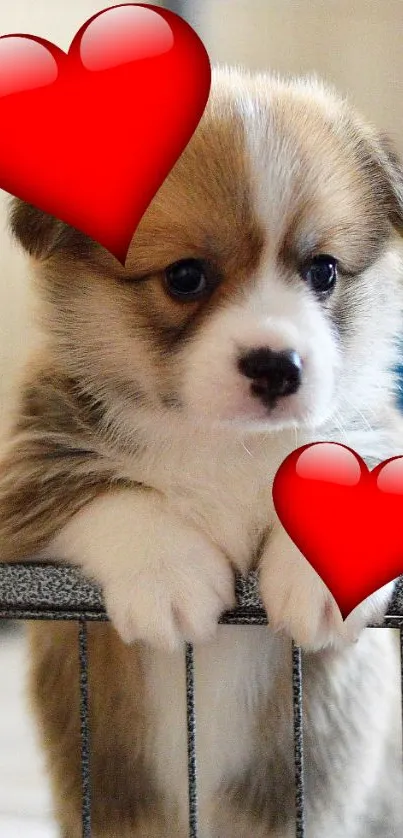 Cute puppy with heart emojis on a mobile wallpaper.