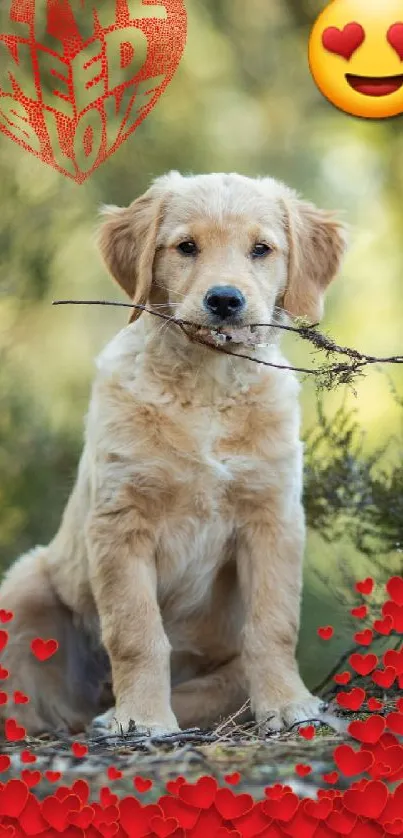 Golden retriever puppy with heart decorations and love theme.