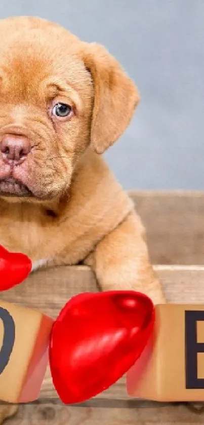Cute puppy with 'Love' graphic in wooden box on a phone wallpaper.