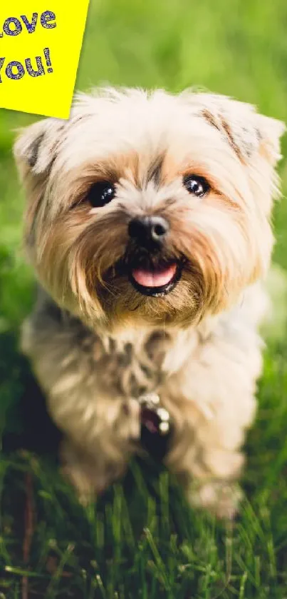 A cute puppy sits on green grass with a yellow 'I Love You' note.