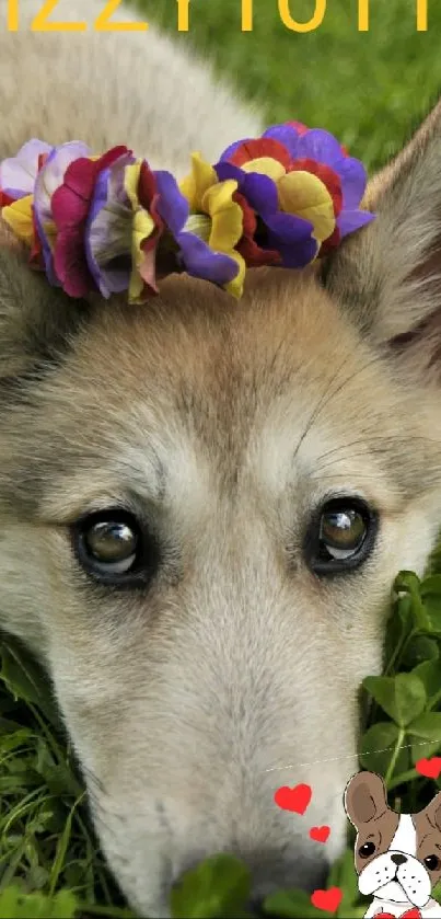 Cute puppy with a flower crown on green grass.