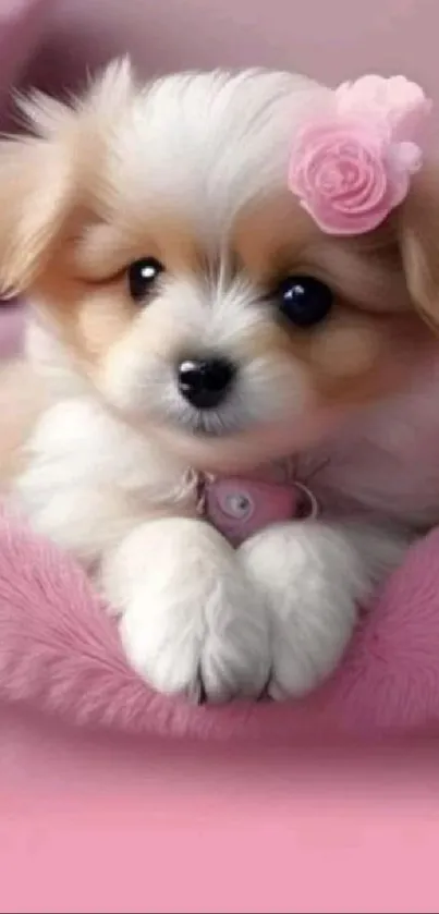 Adorable fluffy puppy on soft pink blanket with a cute flower accessory.