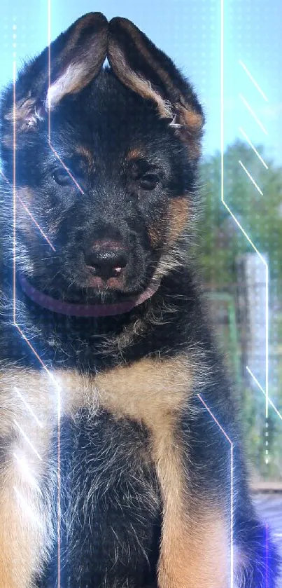 Adorable German Shepherd puppy sitting on a wooden deck in a rural setting.