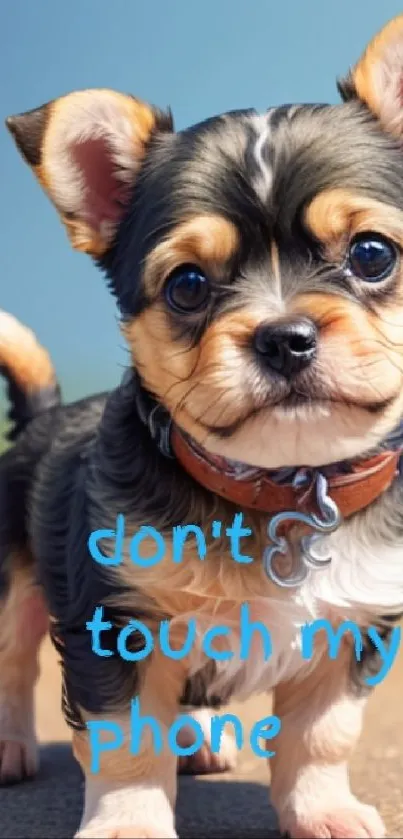 Cute puppy with 'don't touch my phone' text on wallpaper.