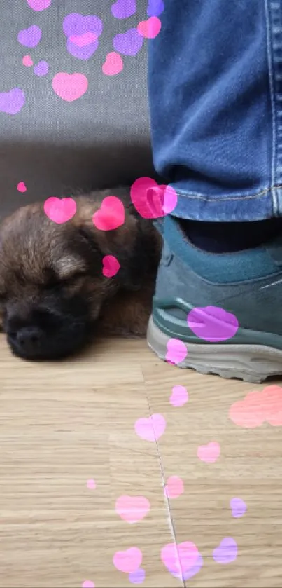 Cute puppy sleeping beside a shoe on the floor.