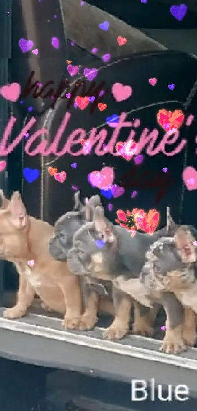 Adorable puppies on a Valentine's themed mobile wallpaper.