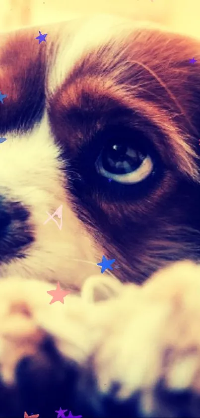 Close-up of a puppy's eye with colorful star accents on a tan background.