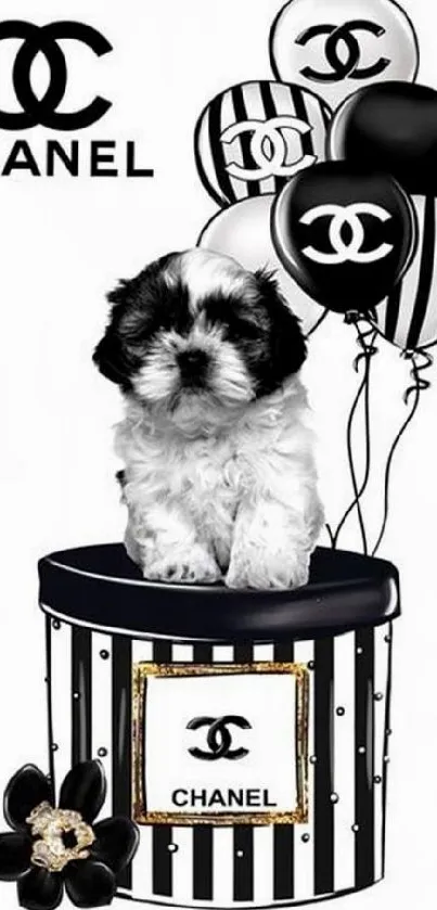 Puppy with Chanel balloons on box wallpaper.