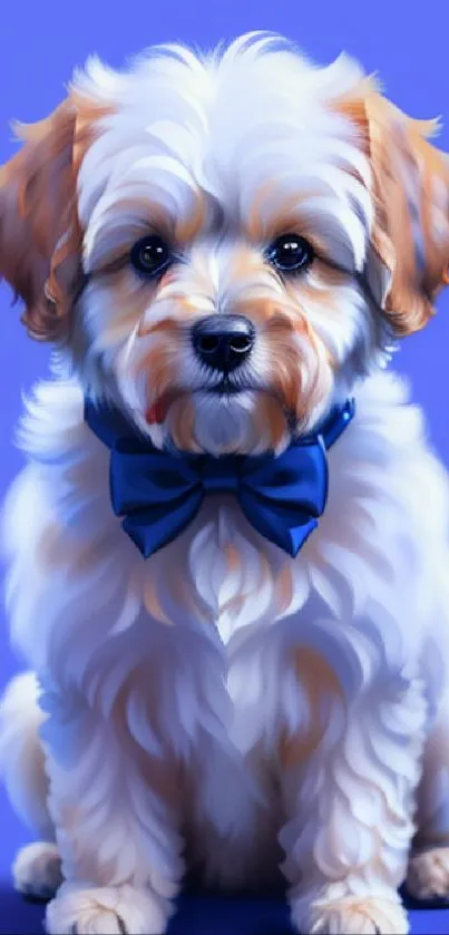 Cute fluffy puppy with a blue bow on a royal blue background.