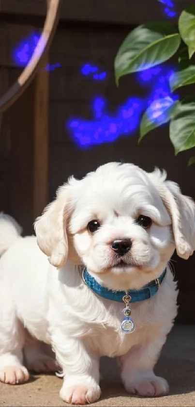 Adorable white puppy with blue collar standing by potted plants.