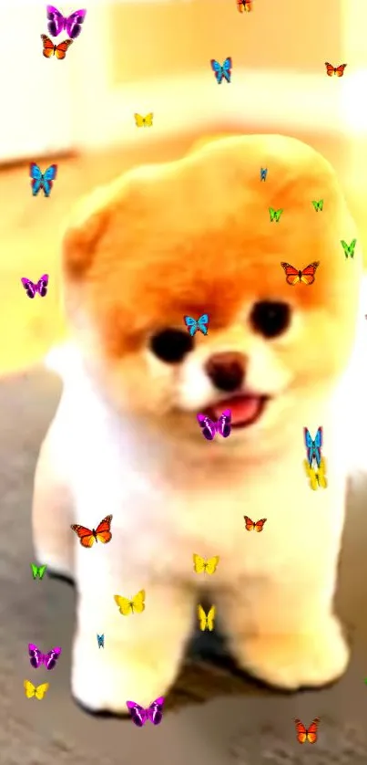 Fluffy puppy with colorful butterflies on a vivid mobile wallpaper.