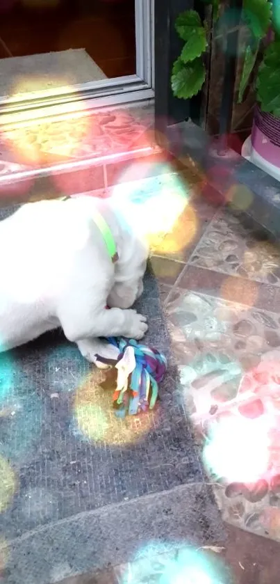 Playful puppy with colorful light effects on a tiled floor.