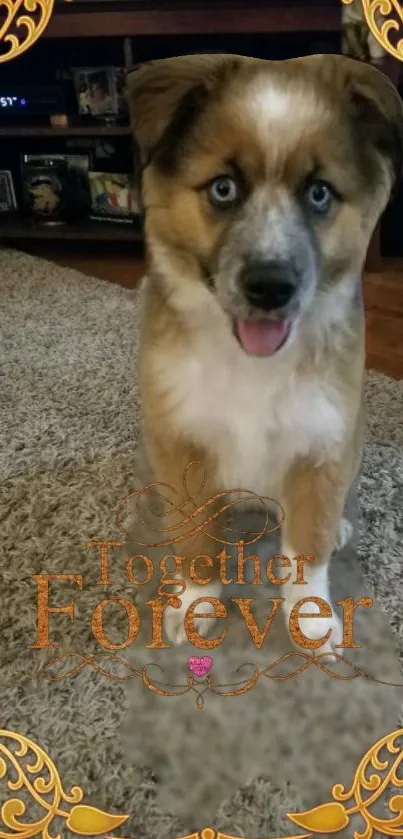 Adorable puppy with golden frame and 'Together Forever' text.