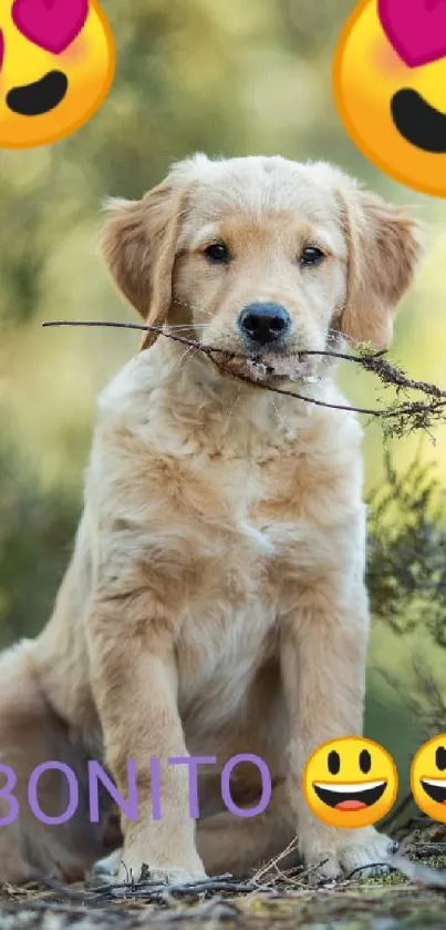 Golden retriever puppy with emojis on background.